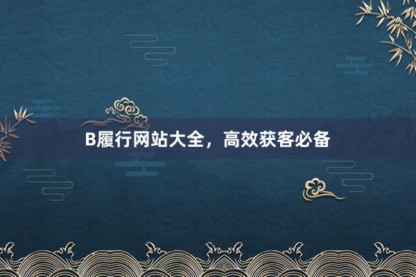 B履行网站大全，高效获客必备