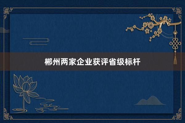 郴州两家企业获评省级标杆