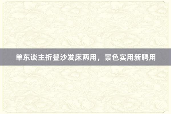 单东谈主折叠沙发床两用，景色实用新聘用