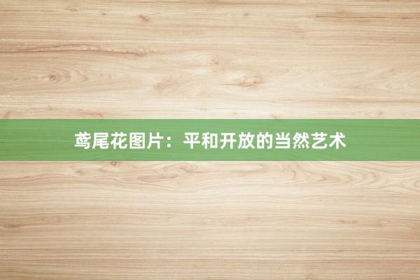 鸢尾花图片：平和开放的当然艺术