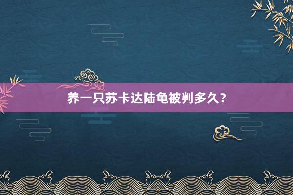 养一只苏卡达陆龟被判多久？