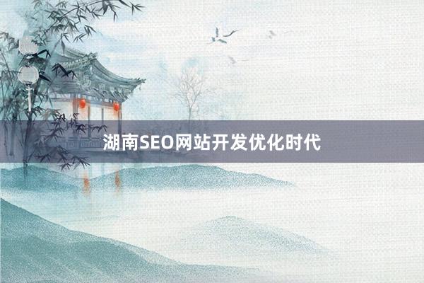 湖南SEO网站开发优化时代